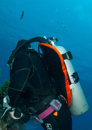 BDK DMT 30 Tech Technical BCD