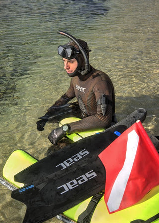 Muta Seac Alga 3 o 5 mm