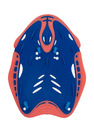 Speedo Biofuse Power Palette